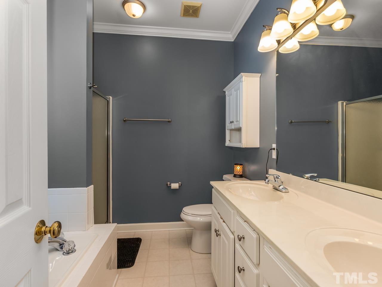 79 Kerrylane Drive Angier, NC 27501 - Photo 21 of 30 a bathroom with a sink vanity granite toilet and a mirror