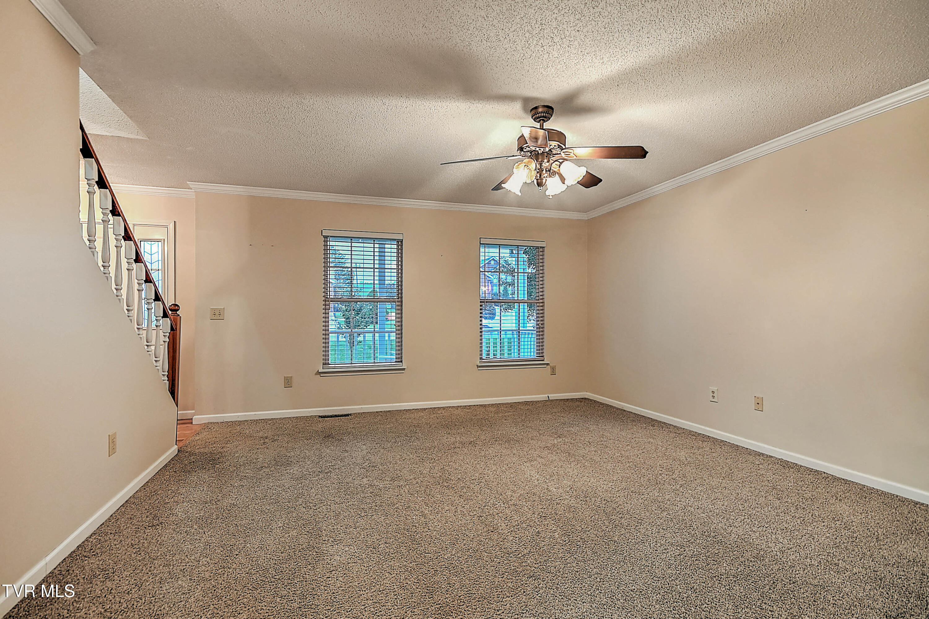 309 Roy Martin Road Gray, TN 37615 - Photo 11 of 63 309 Roy Martin LG-10