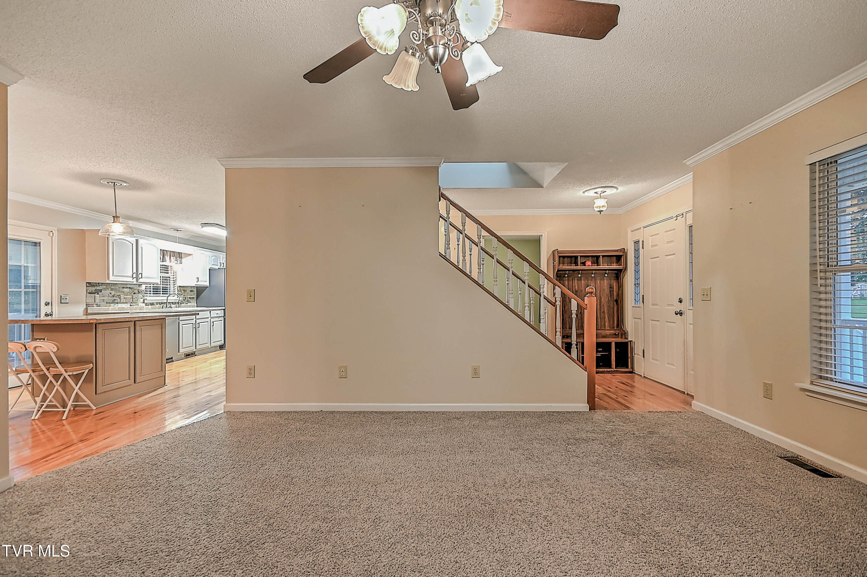 309 Roy Martin Road Gray, TN 37615 - Photo 12 of 63 309 Roy Martin LG-8