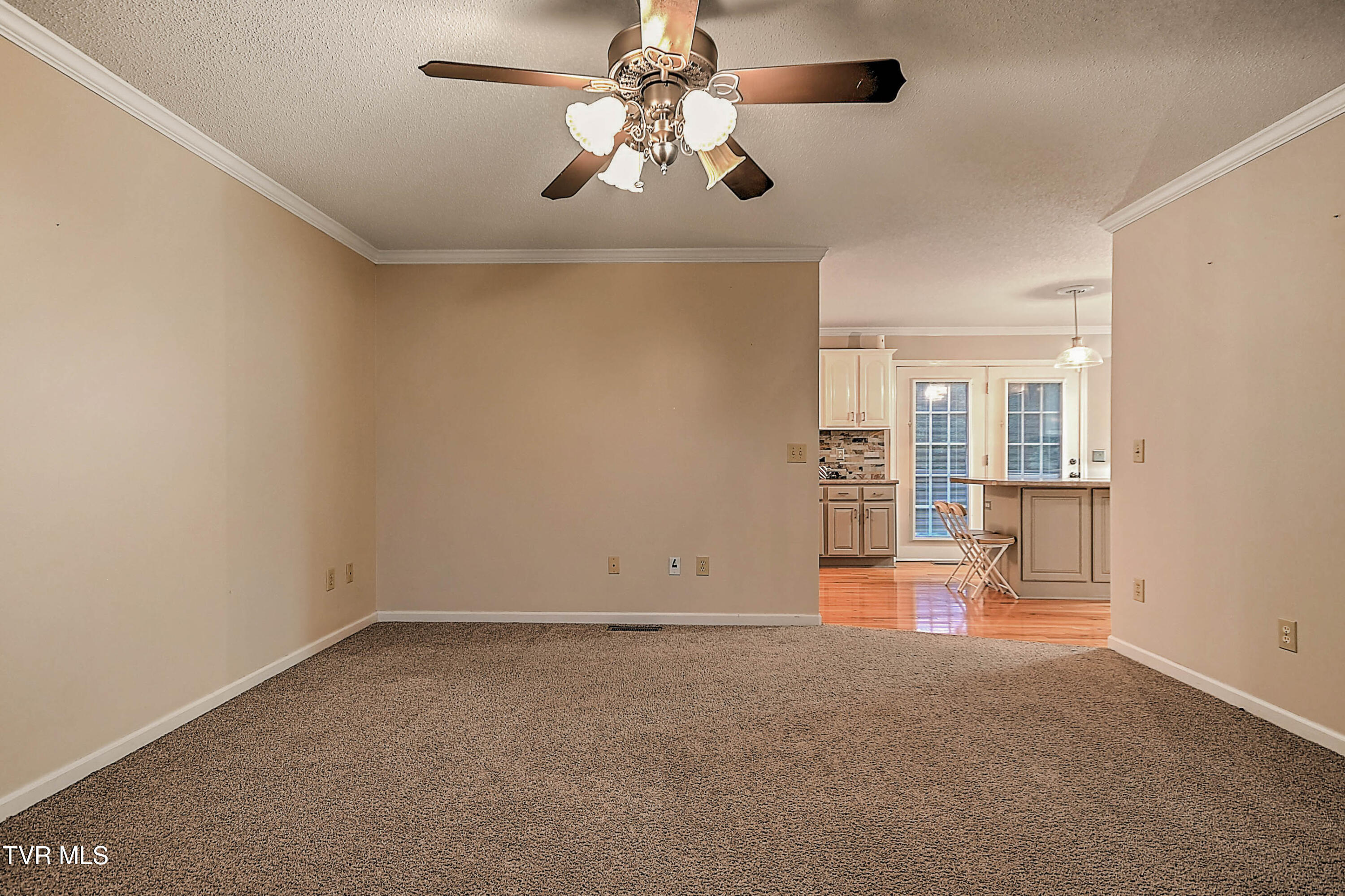 309 Roy Martin Road Gray, TN 37615 - Photo 13 of 63 309 Roy Martin LG-7