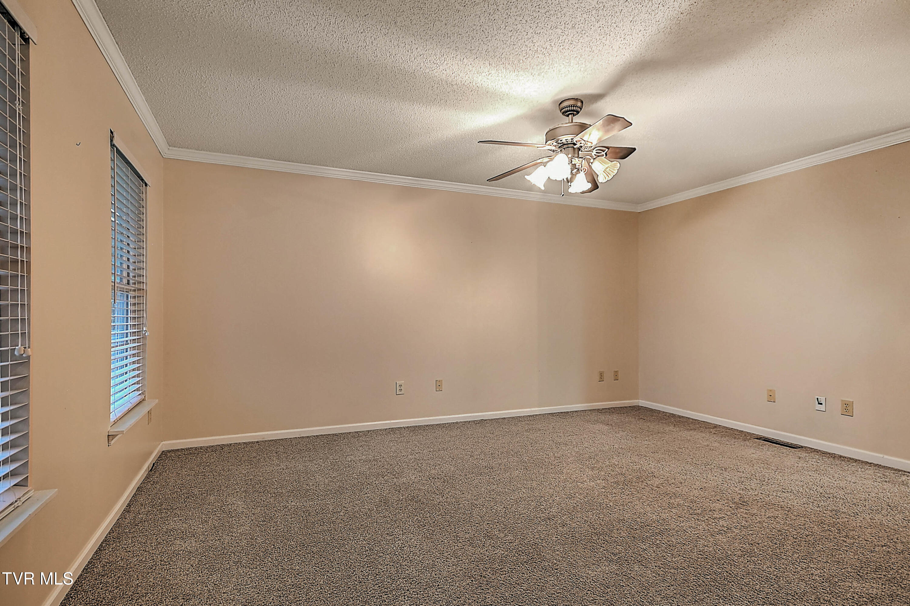 309 Roy Martin Road Gray, TN 37615 - Photo 14 of 63 309 Roy Martin LG-6