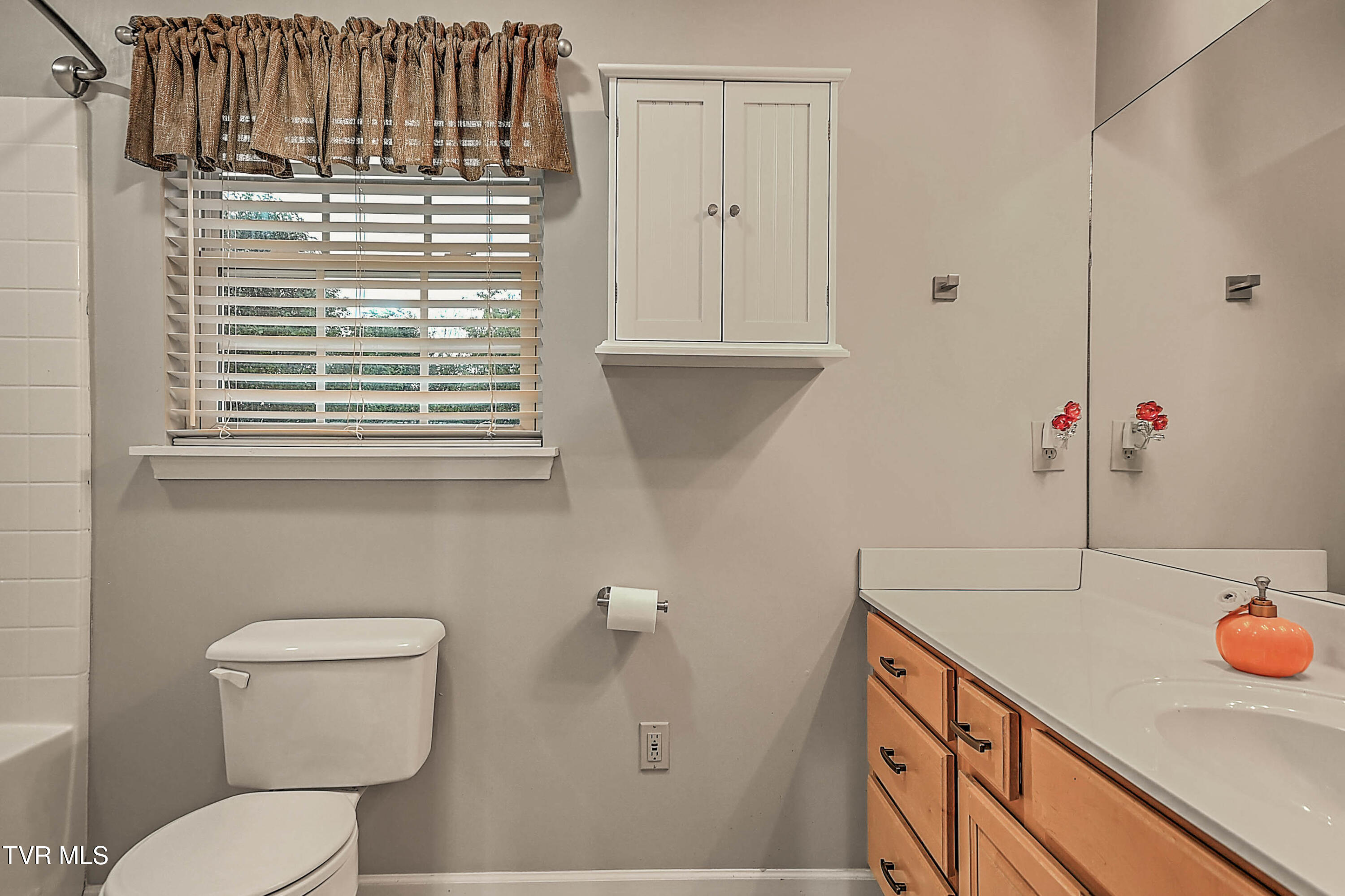 309 Roy Martin Road Gray, TN 37615 - Photo 27 of 63 309 Roy Martin LG-30