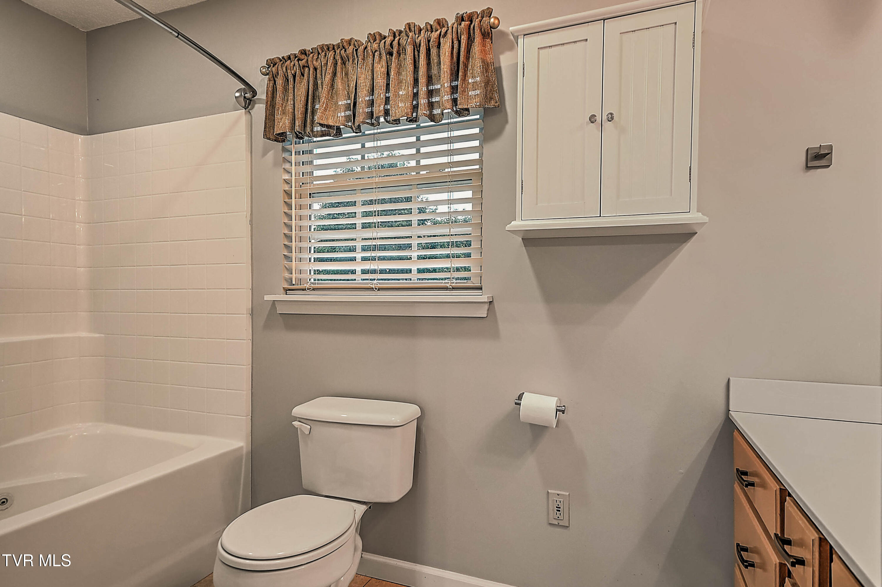 309 Roy Martin Road Gray, TN 37615 - Photo 28 of 63 309 Roy Martin LG-31