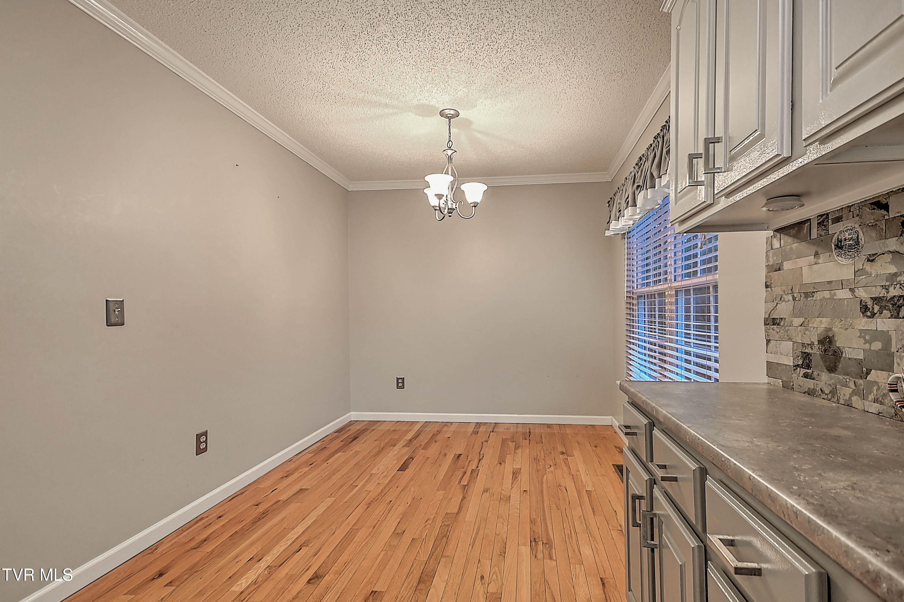 309 Roy Martin Road Gray, TN 37615 - Photo 30 of 63 309 Roy Martin LG-12