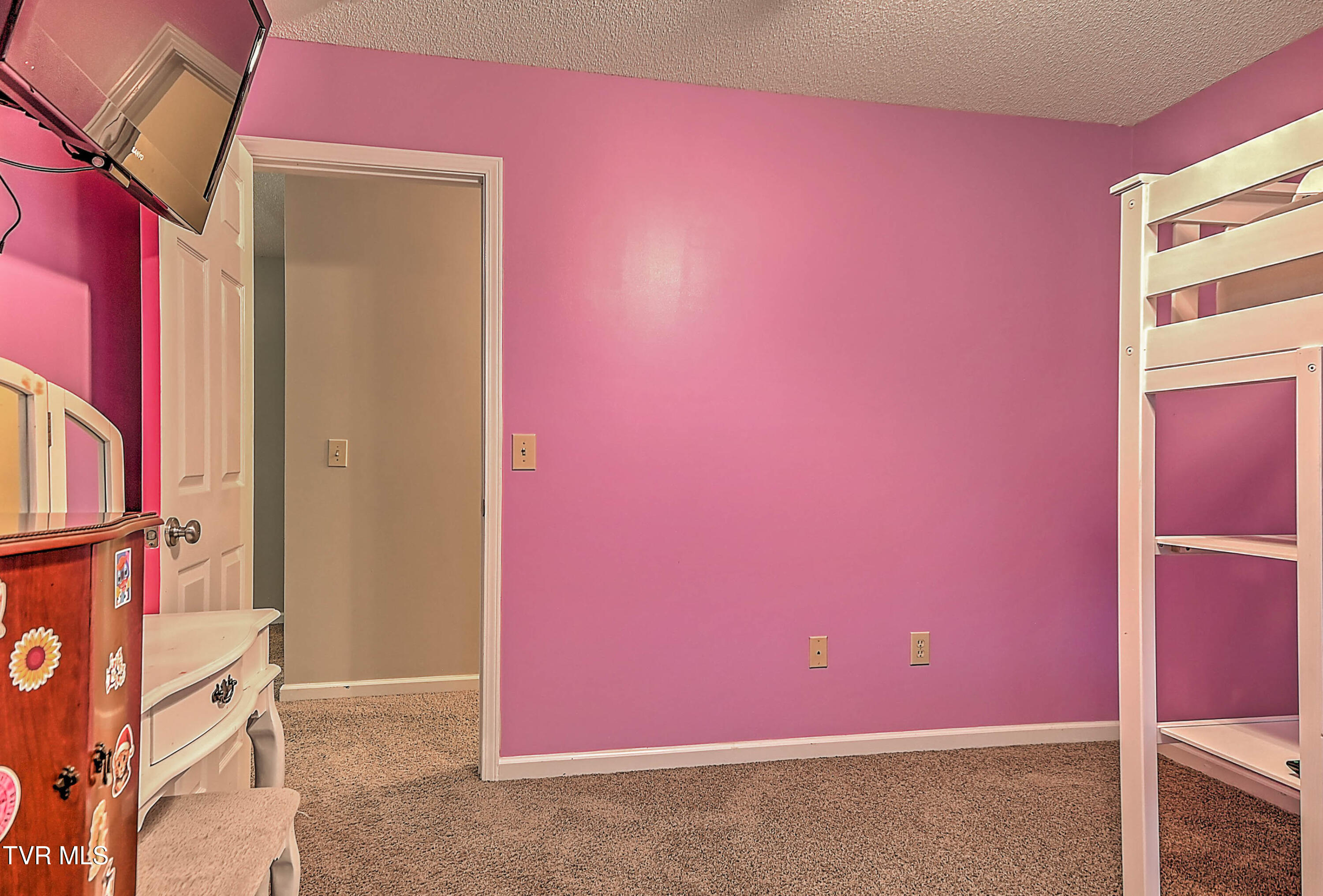 309 Roy Martin Road Gray, TN 37615 - Photo 39 of 63 309 Roy Martin LG-38