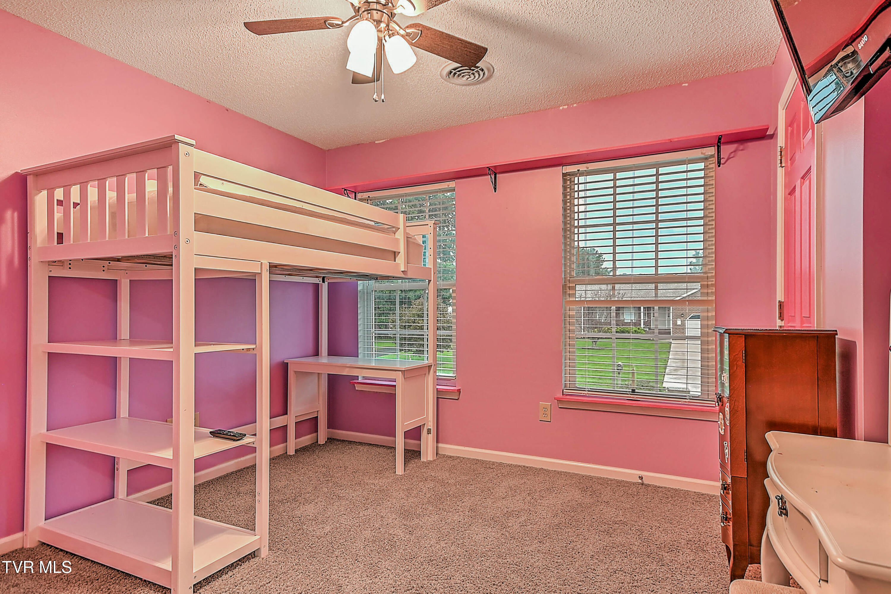 309 Roy Martin Road Gray, TN 37615 - Photo 42 of 63 309 Roy Martin LG-36