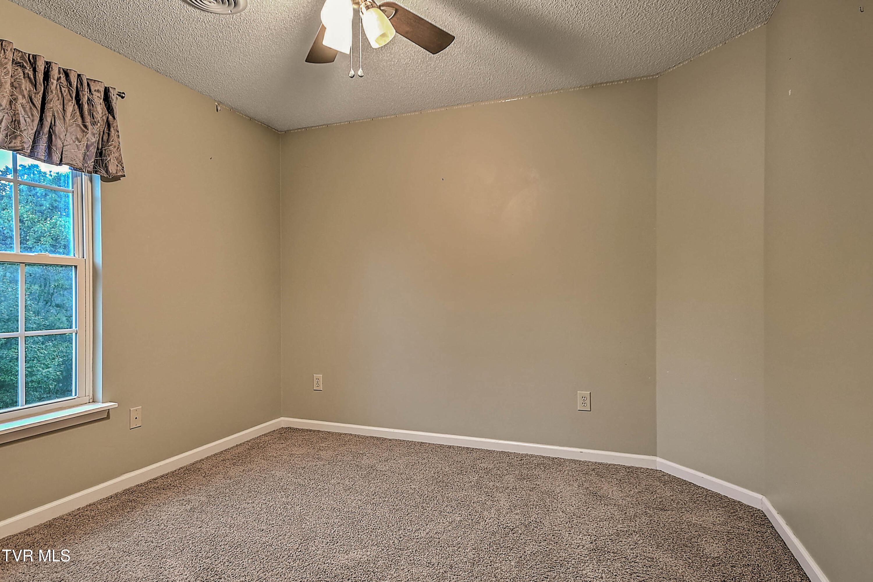 309 Roy Martin Road Gray, TN 37615 - Photo 46 of 63 309 Roy Martin LG-32
