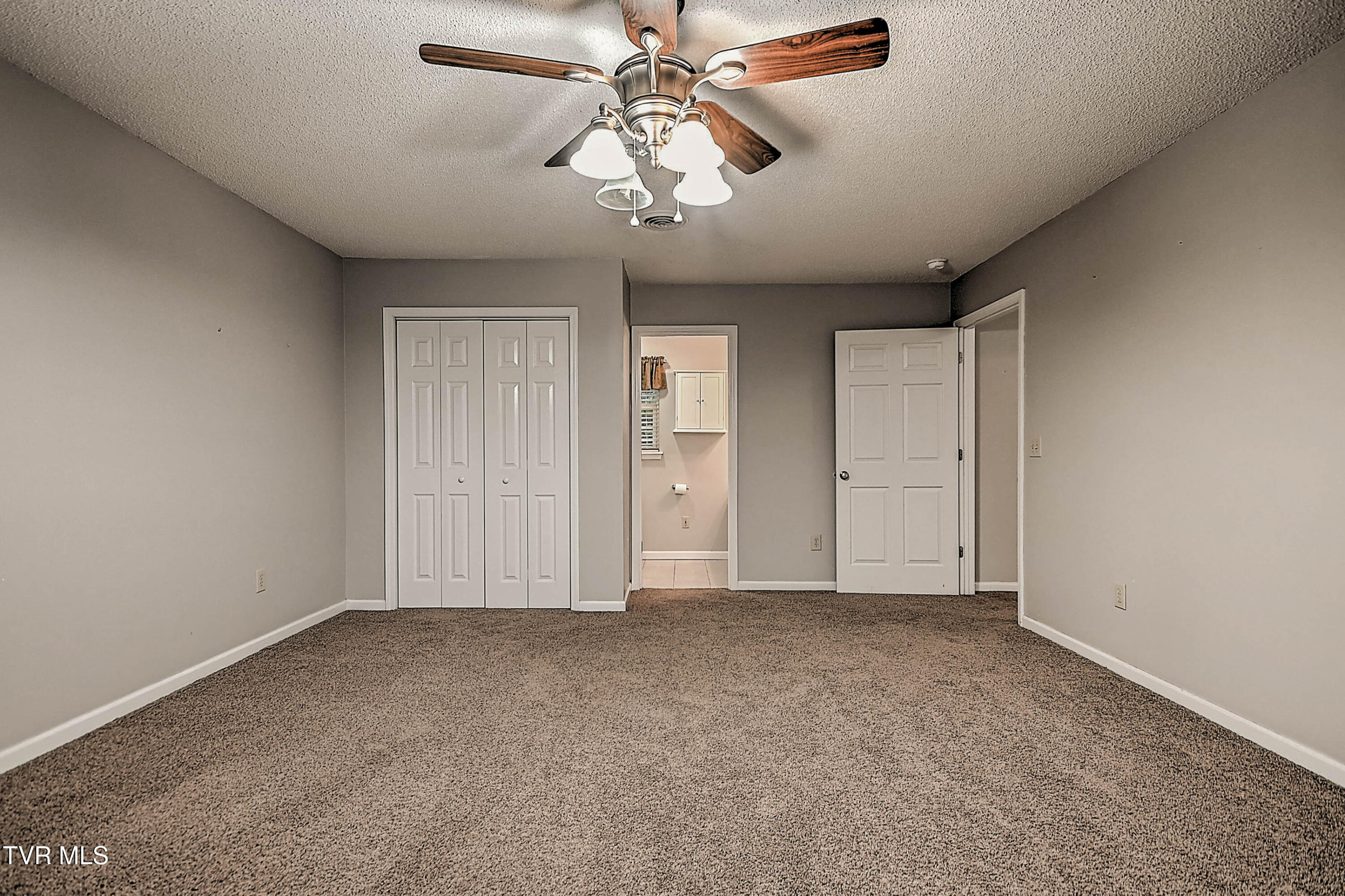 309 Roy Martin Road Gray, TN 37615 - Photo 47 of 63 309 Roy Martin LG-28