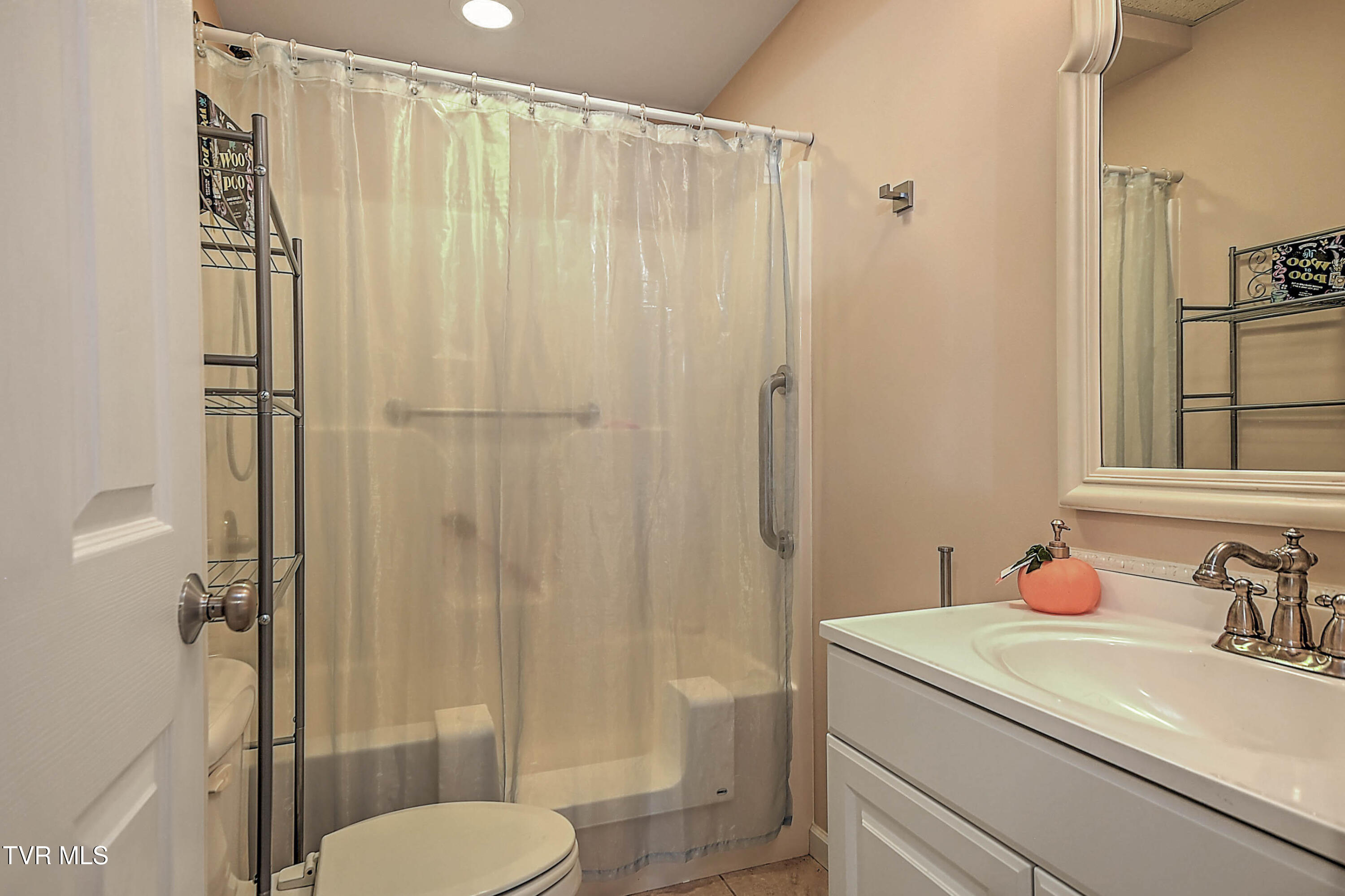 309 Roy Martin Road Gray, TN 37615 - Photo 50 of 63 309 Roy Martin LG-46