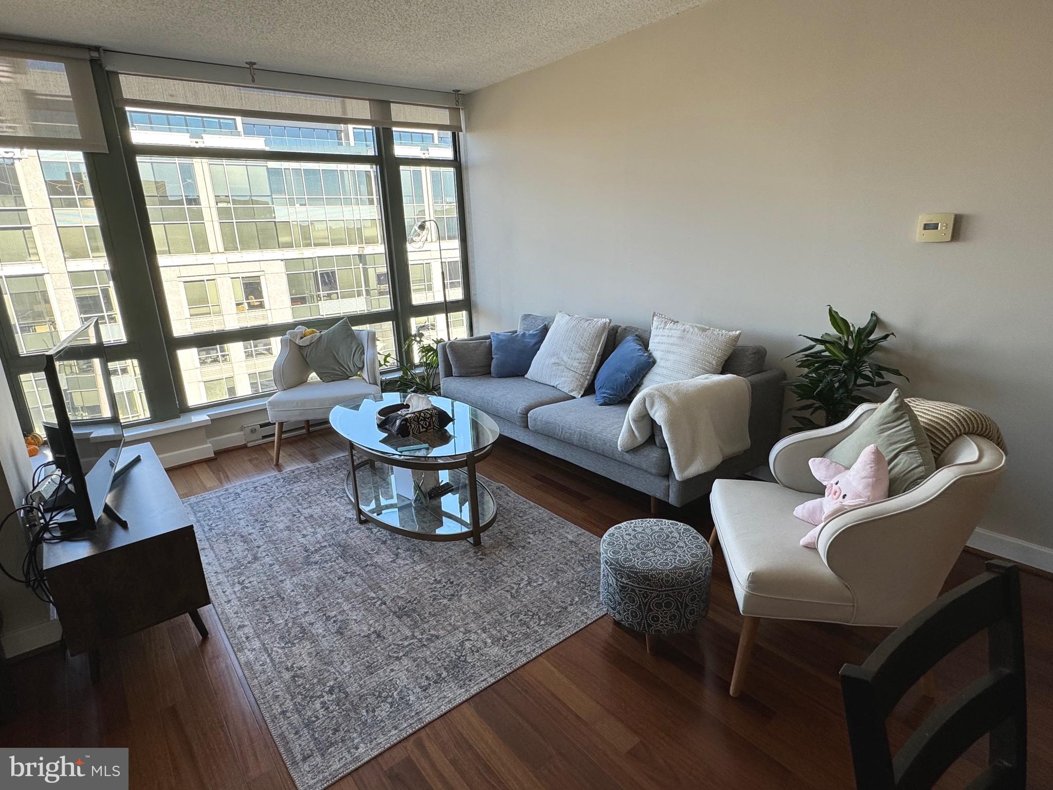 1150 K Street Northwest, Unit 1305 Washington, DC 20005 - Photo 10 of 18 a living room with furniture and a potted plant