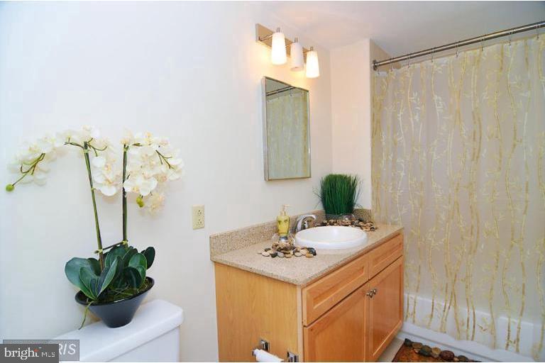 1150 K Street Northwest, Unit 1305 Washington, DC 20005 - Photo 8 of 18 a bathroom with a sink a mirror and a potted plant