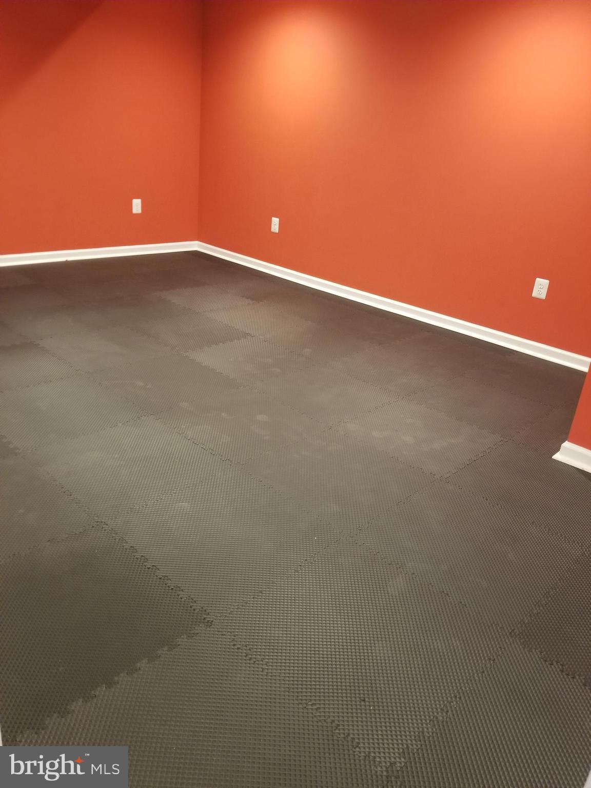 14 Lister Lane Ridgely, MD 21660 - Photo 58 of 80 Workout room