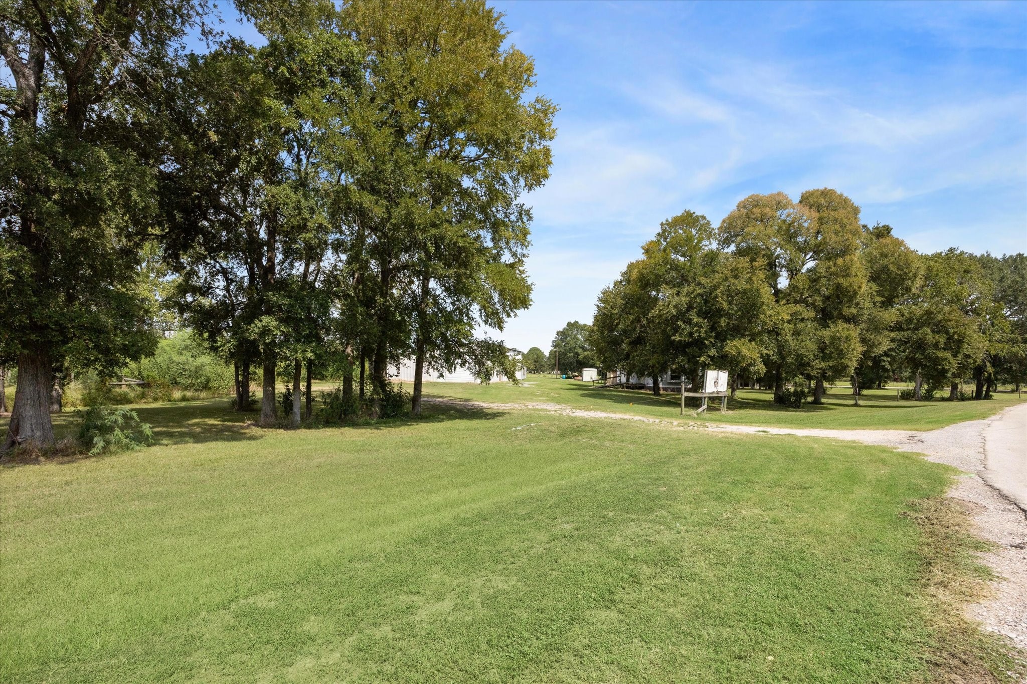 4343 Buller Road Brookshire, TX 77423 - Photo 7 of 13 a view of a trees in a yard