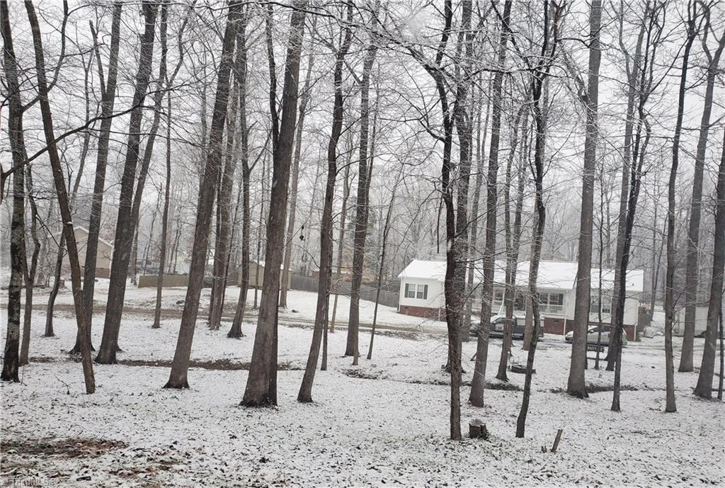 3823 Red Fox Road Trinity, NC 27370 - Photo 8 of 15 Snowy day view
