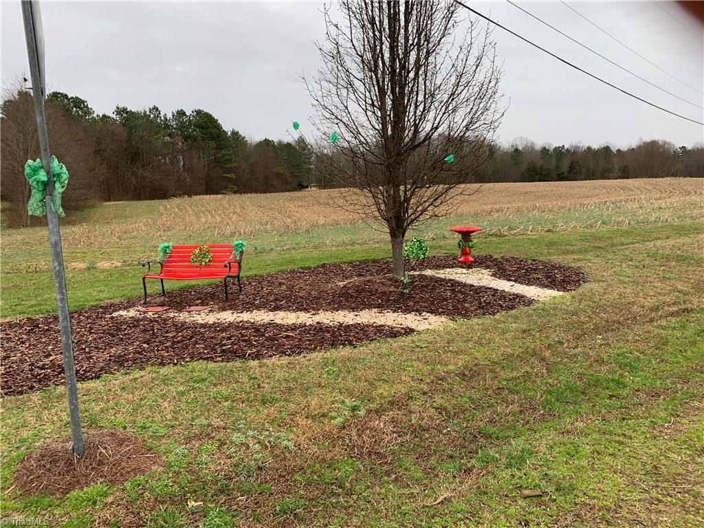 3823 Red Fox Road Trinity, NC 27370 - Photo 10 of 15 Welcome to the neighborhood!