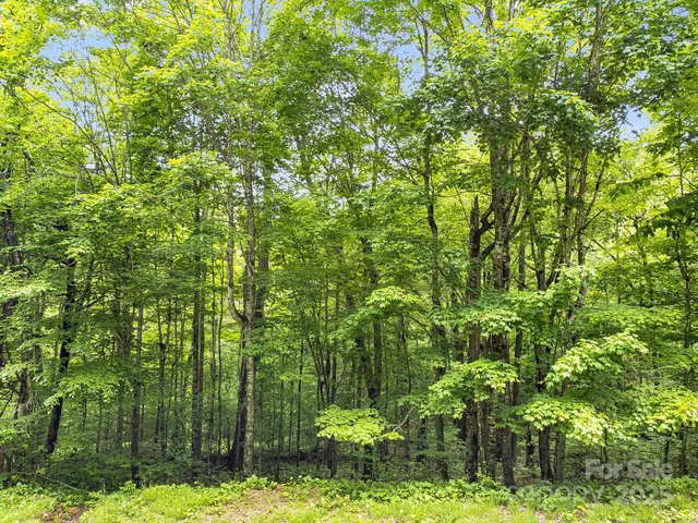 $23,000 | 65 Bee Tree Lane, Mars Hill, NC 28754