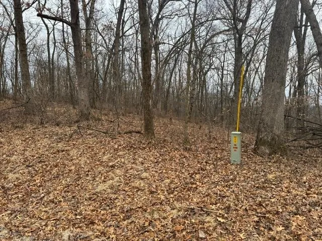 $49,900 | Lot 29 Hidden Meadow, Boscobel, WI 53805