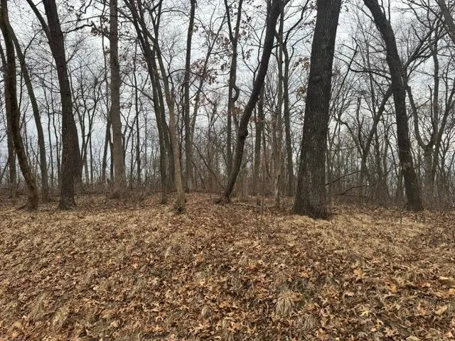 $49,900 | Lot 29 Hidden Meadow, Boscobel, WI 53805