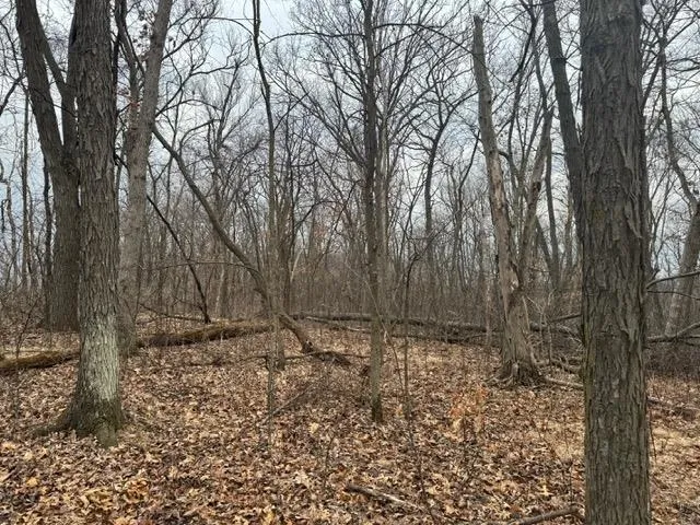 $49,900 | Lot 29 Hidden Meadow, Boscobel, WI 53805