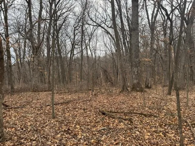 $49,900 | Lot 29 Hidden Meadow, Boscobel, WI 53805