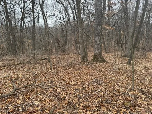 $49,900 | Lot 29 Hidden Meadow, Boscobel, WI 53805