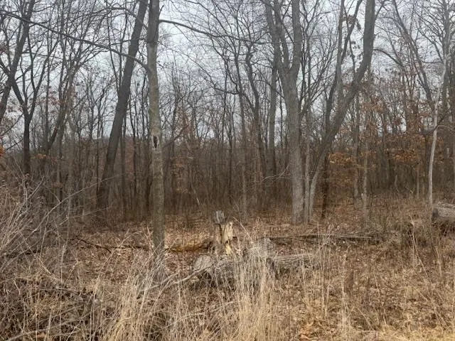 $49,900 | Lot 29 Hidden Meadow, Boscobel, WI 53805