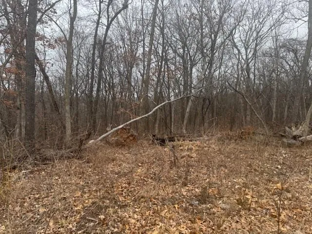 $49,900 | Lot 29 Hidden Meadow, Boscobel, WI 53805