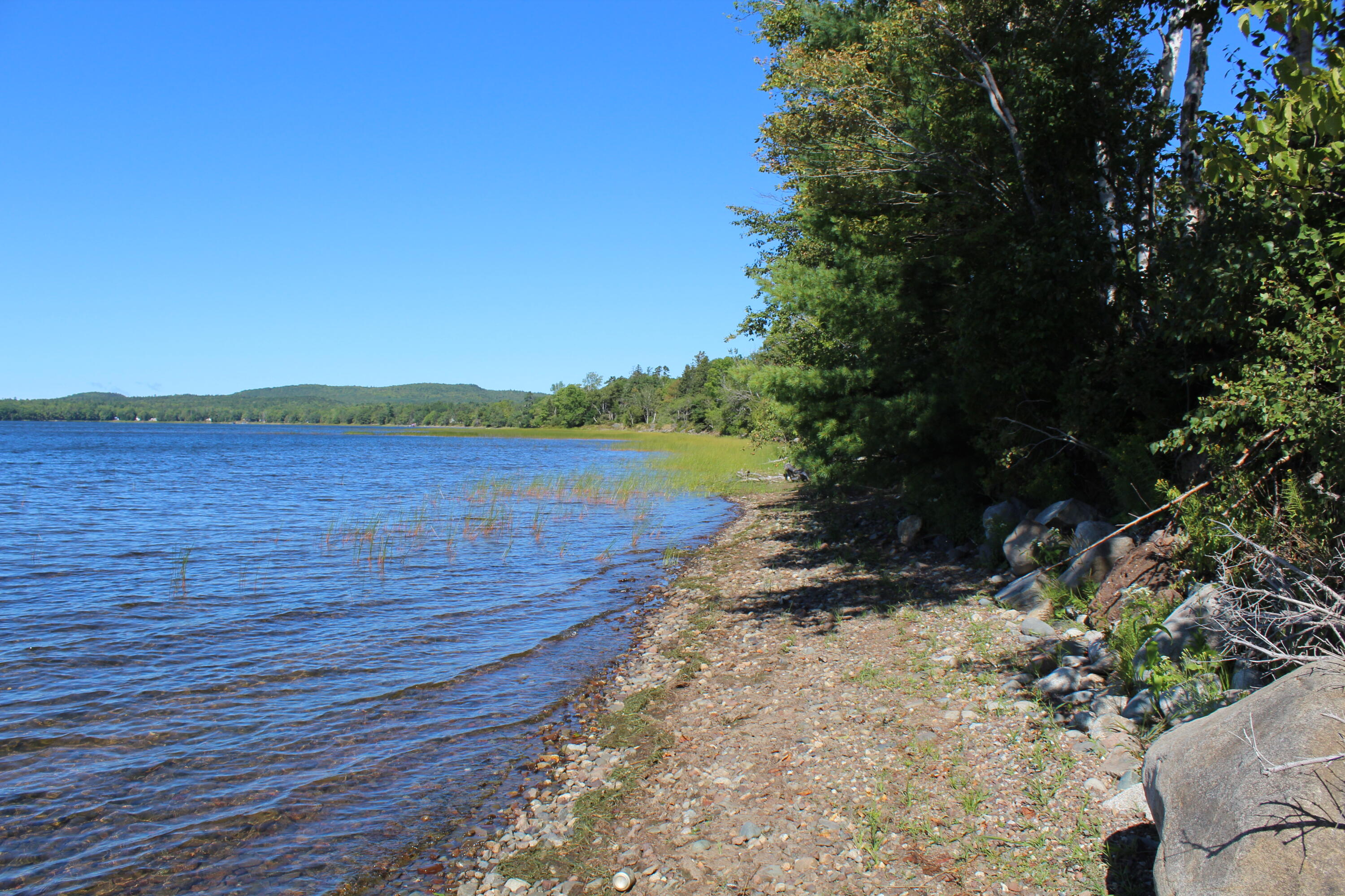 441 Lake Road Perry, ME 04667 - Photo 11 of 67 IMG_6856