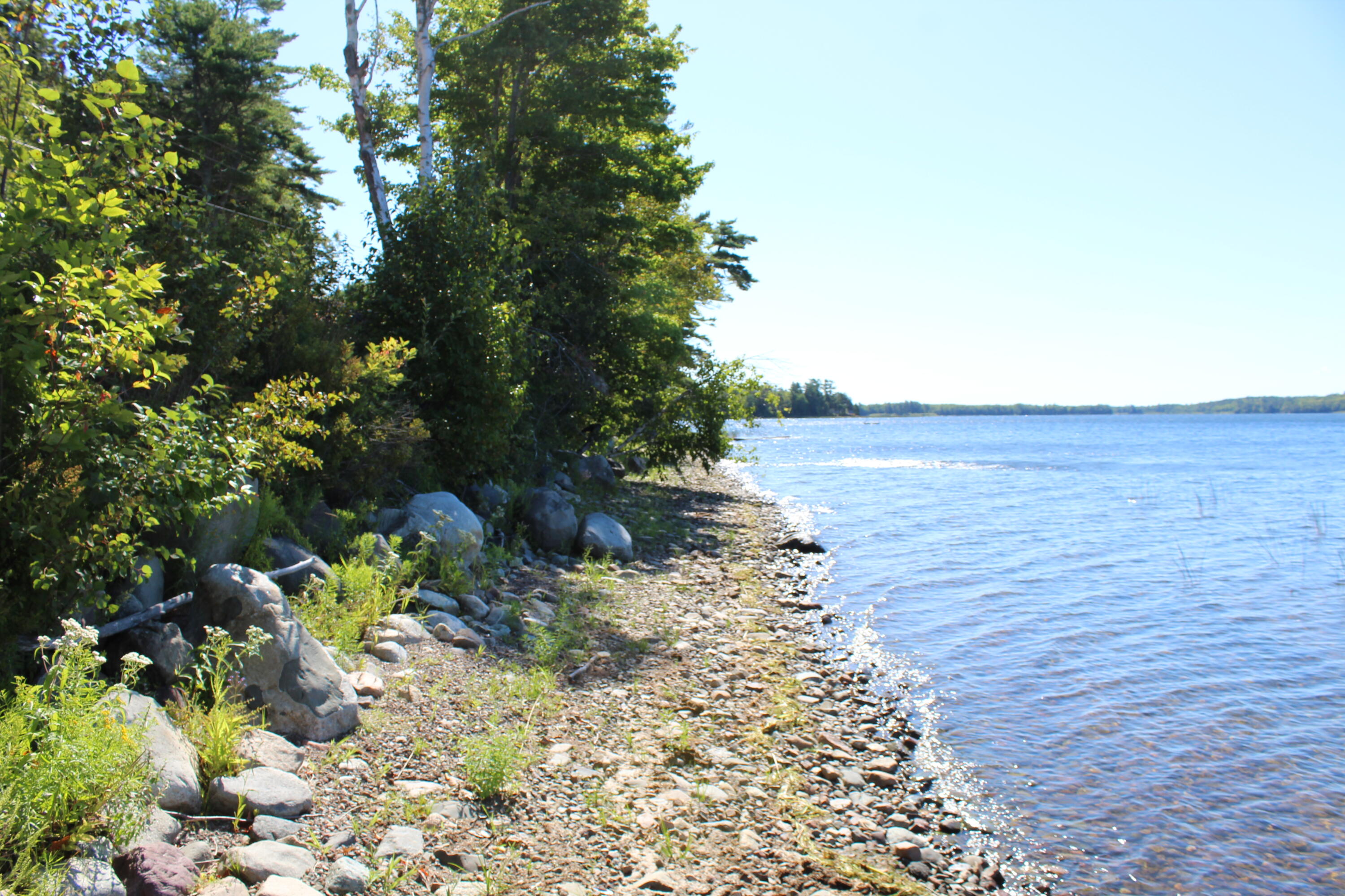 441 Lake Road Perry, ME 04667 - Photo 12 of 67 IMG_6857