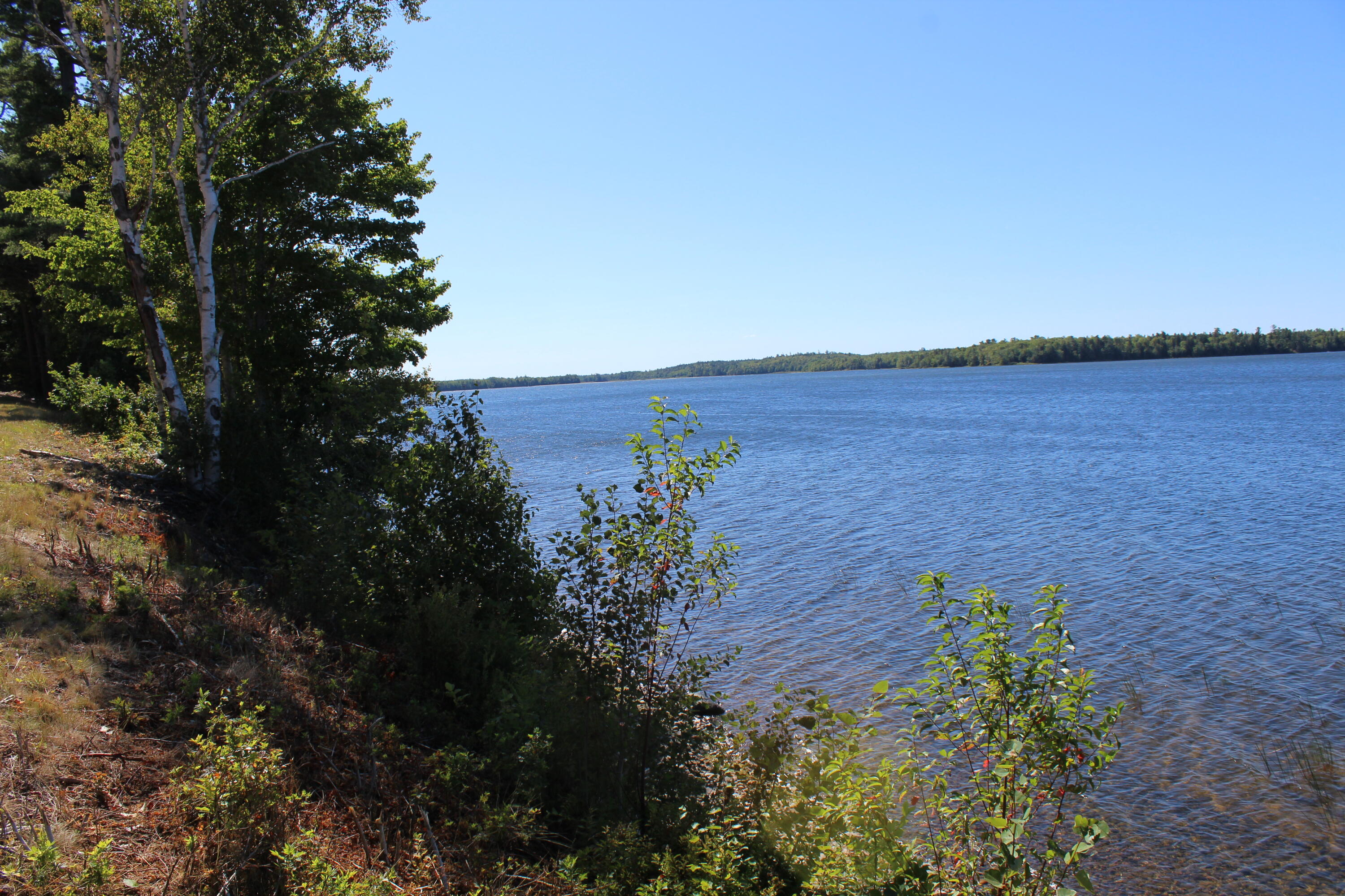 441 Lake Road Perry, ME 04667 - Photo 40 of 67 IMG_6855