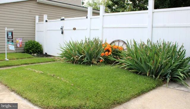 a view of a garden with a flower in a garden