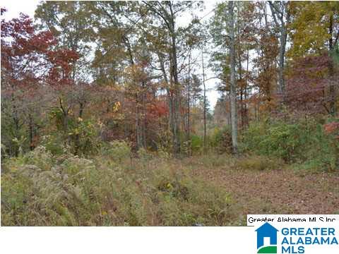 401 Old Settlement Road Oneonta, AL 35121 - Photo 27 of 28