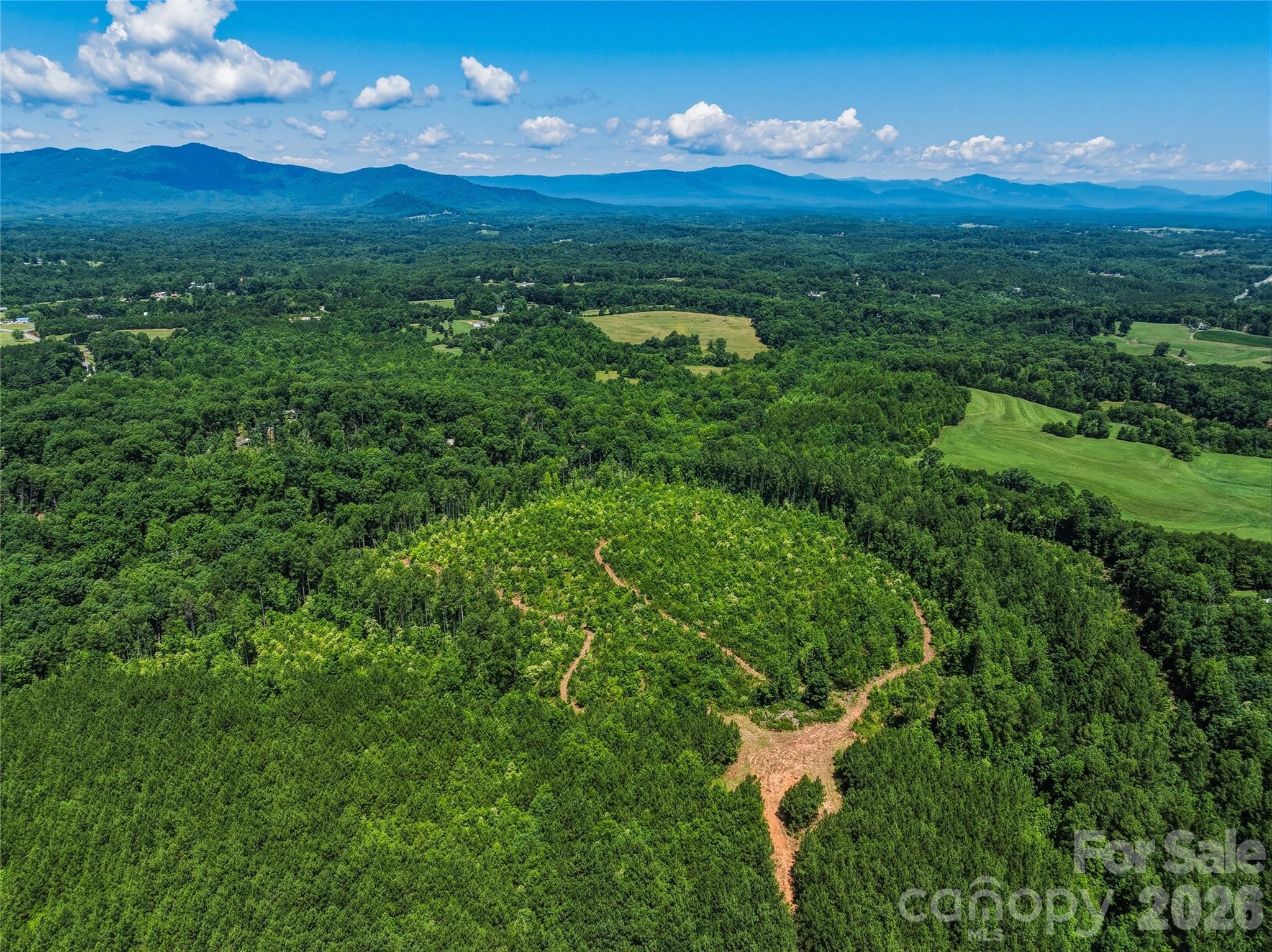 6783 Peniel Road Tryon, NC 28782 - Photo 29 of 36