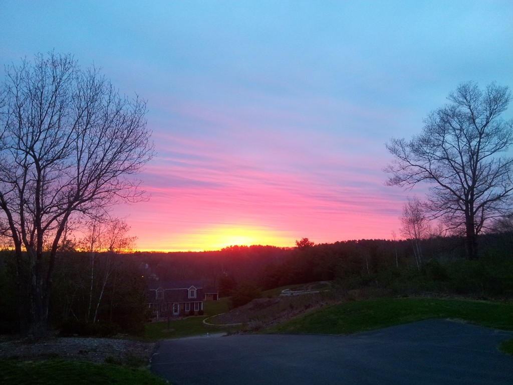 4 Cranberry Meadow Road Norfolk, MA 02056 - Photo 25 of 30 Gallery Image 25