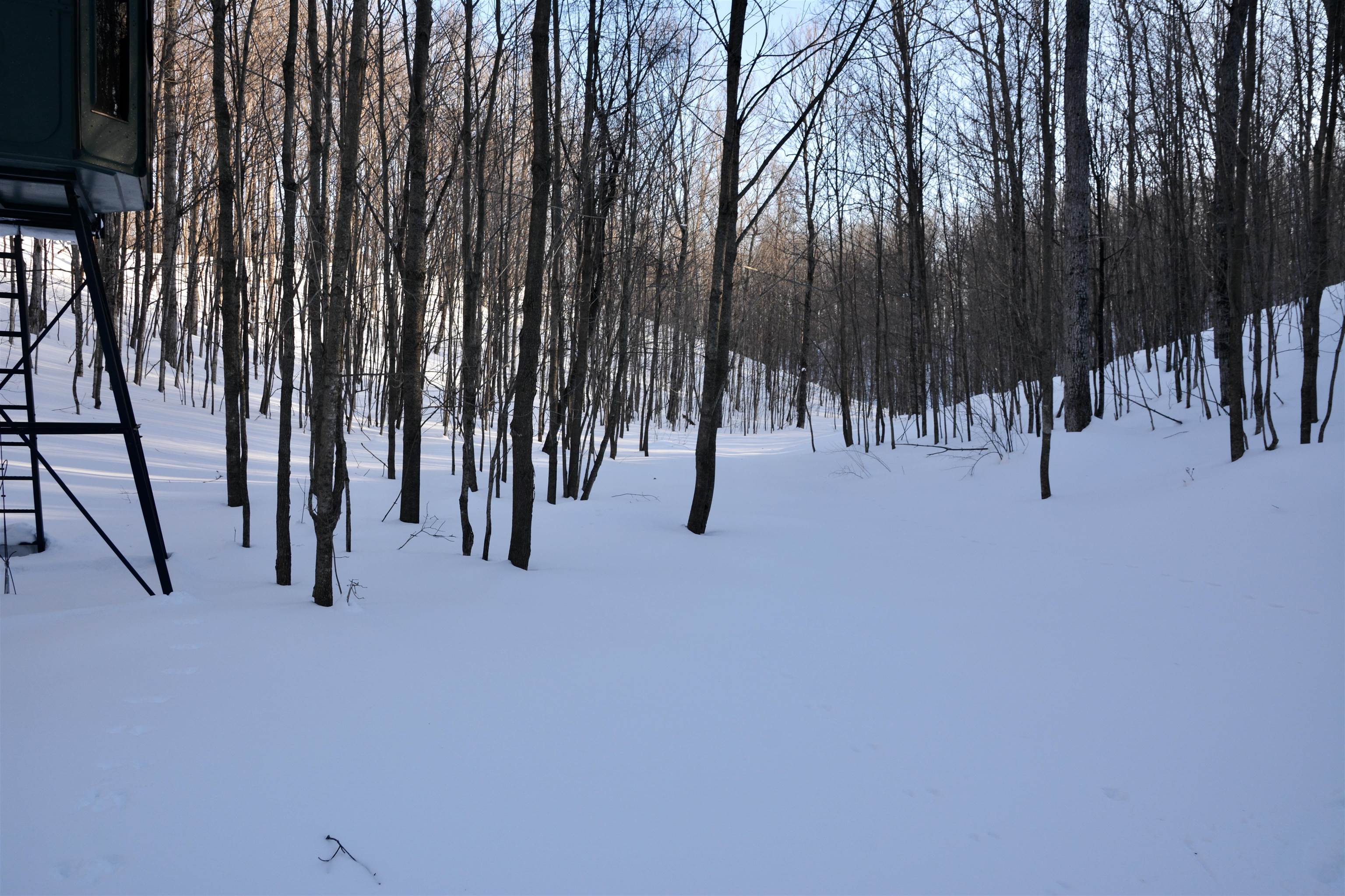0 South Schomberg Road Cedar, MI 49621 - Photo 42 of 70