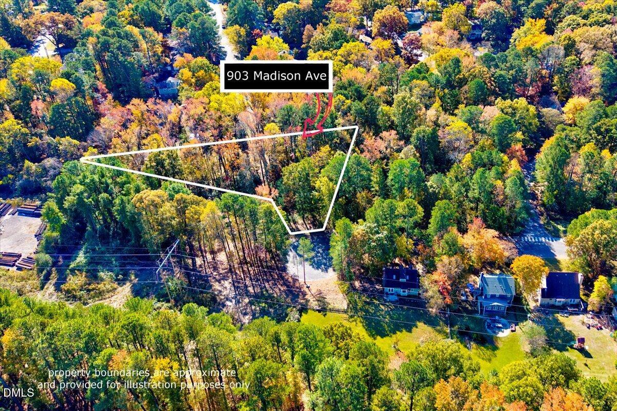 a view of a bunch of flowers