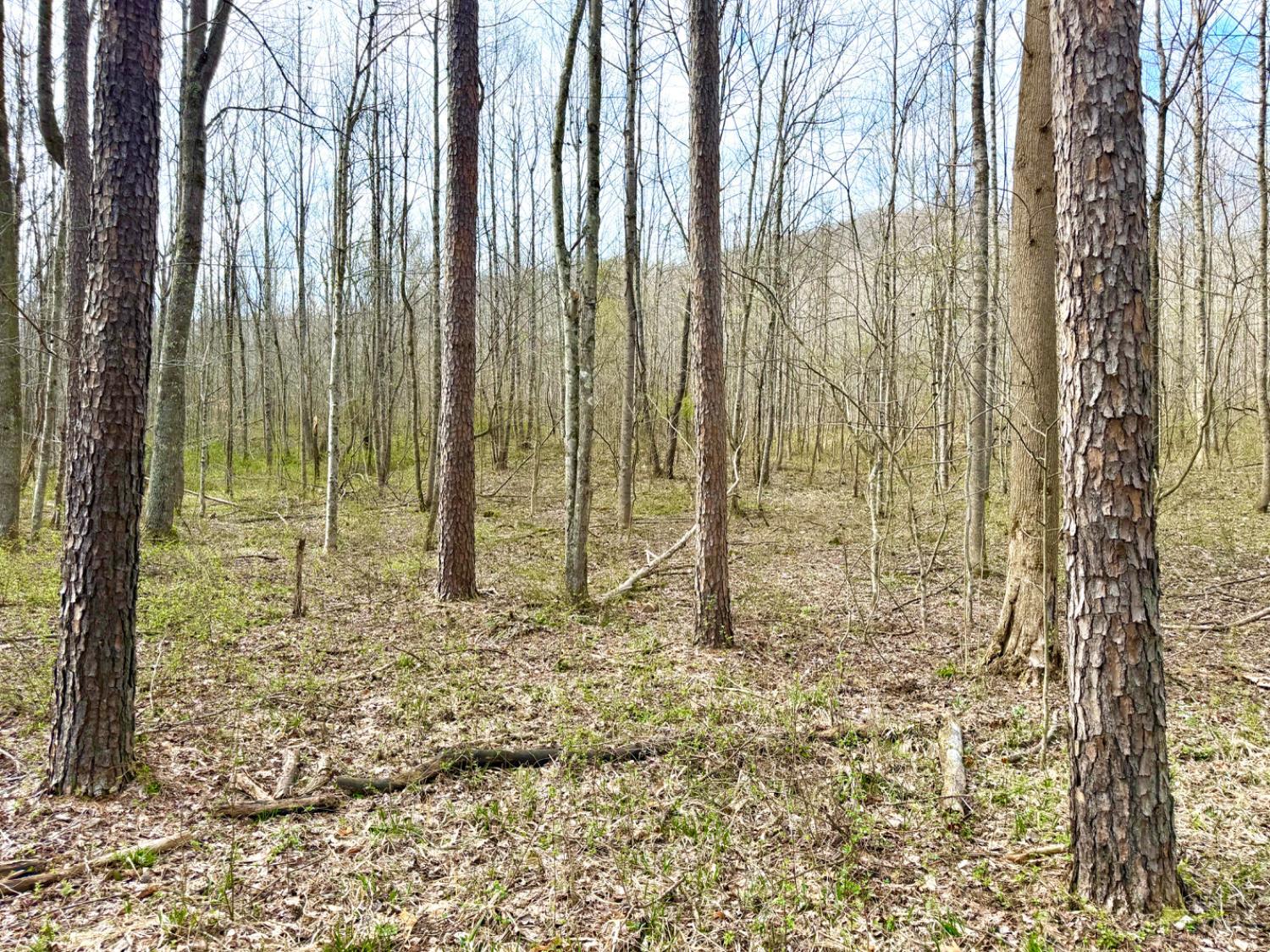 0 Fyffe Hollow Road Chillicothe, OH 45601 - Photo 5 of 96