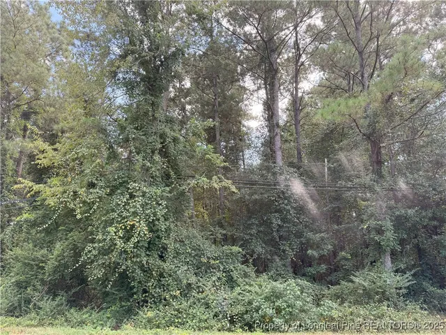 $39,900 | Lot 2 East Williams Street, Autryville, NC 28318