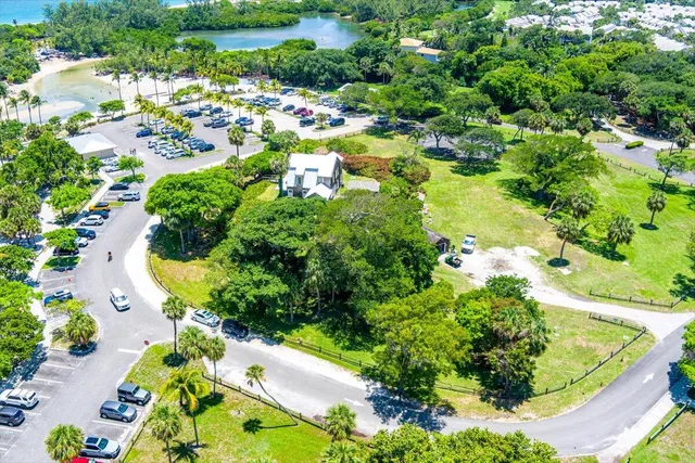 a view of a garden with a tree