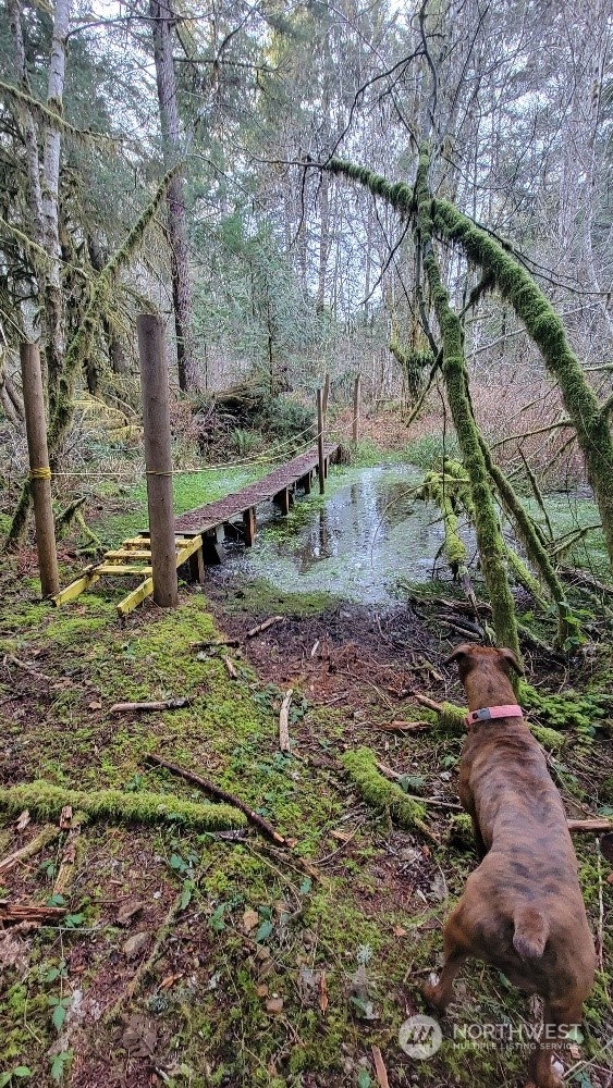 7613 West Shelton Matlock Road Shelton, WA 98584 - Photo 24 of 31