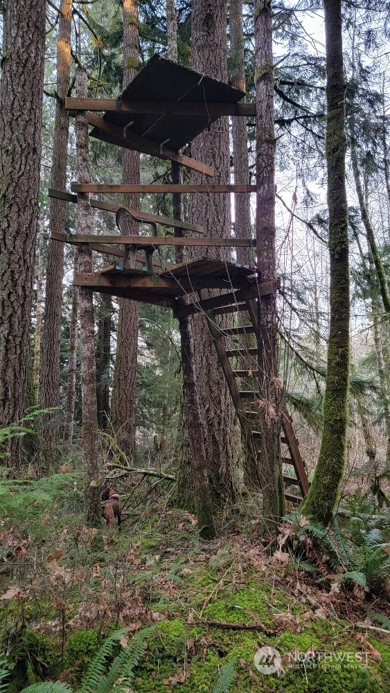 7613 West Shelton Matlock Road Shelton, WA 98584 - Photo 27 of 31