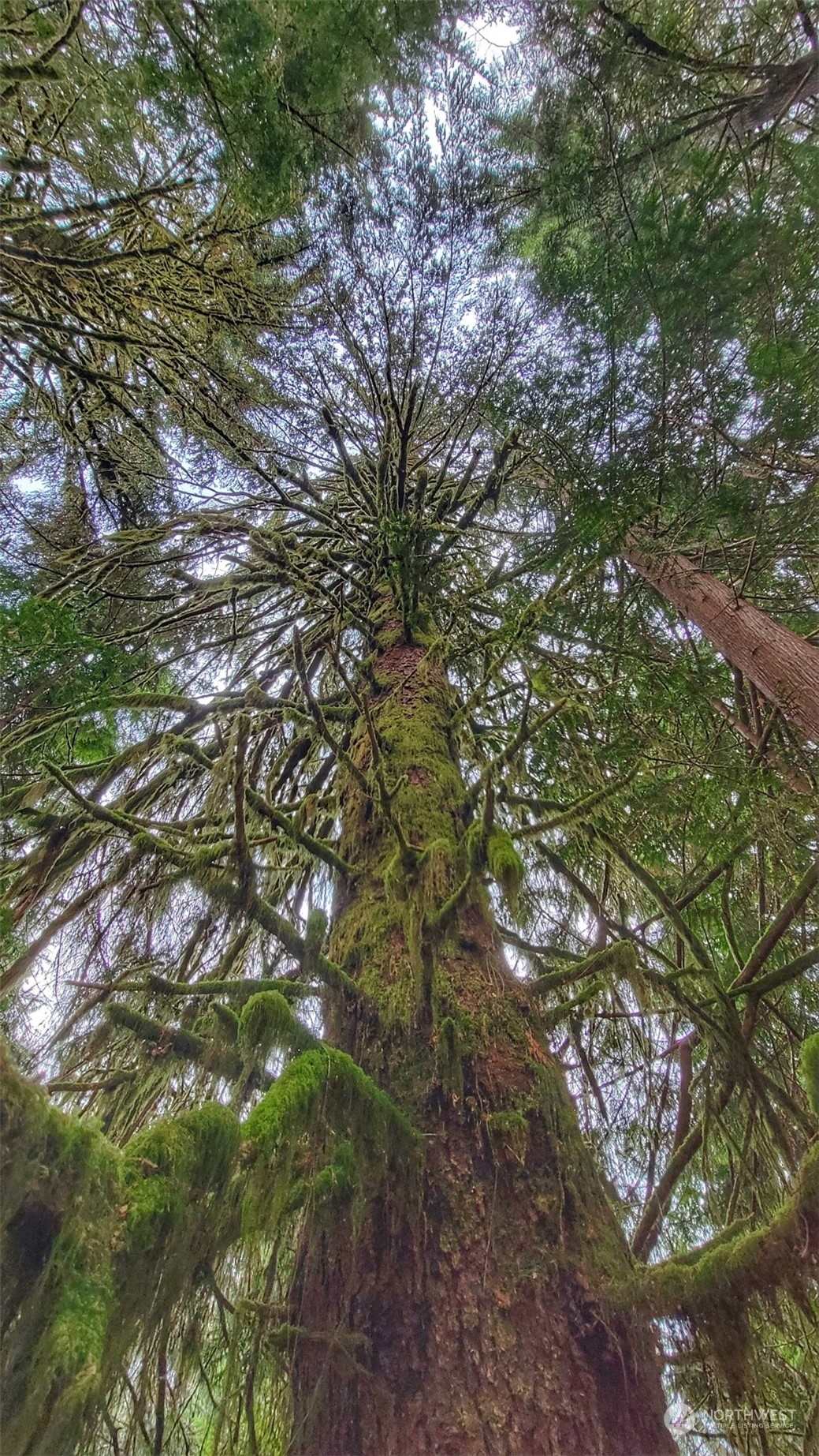 7613 West Shelton Matlock Road Shelton, WA 98584 - Photo 31 of 31