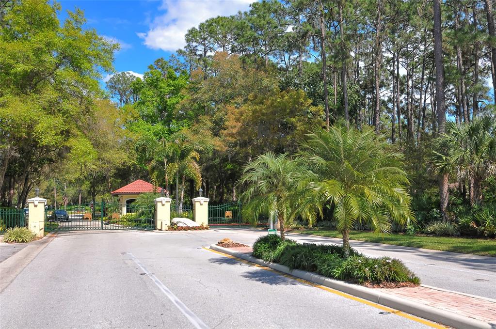 7426 Weeping Willow Boulevard Sarasota, FL 34241 - Photo 66 of 66 a view of street with houses and trees in the background