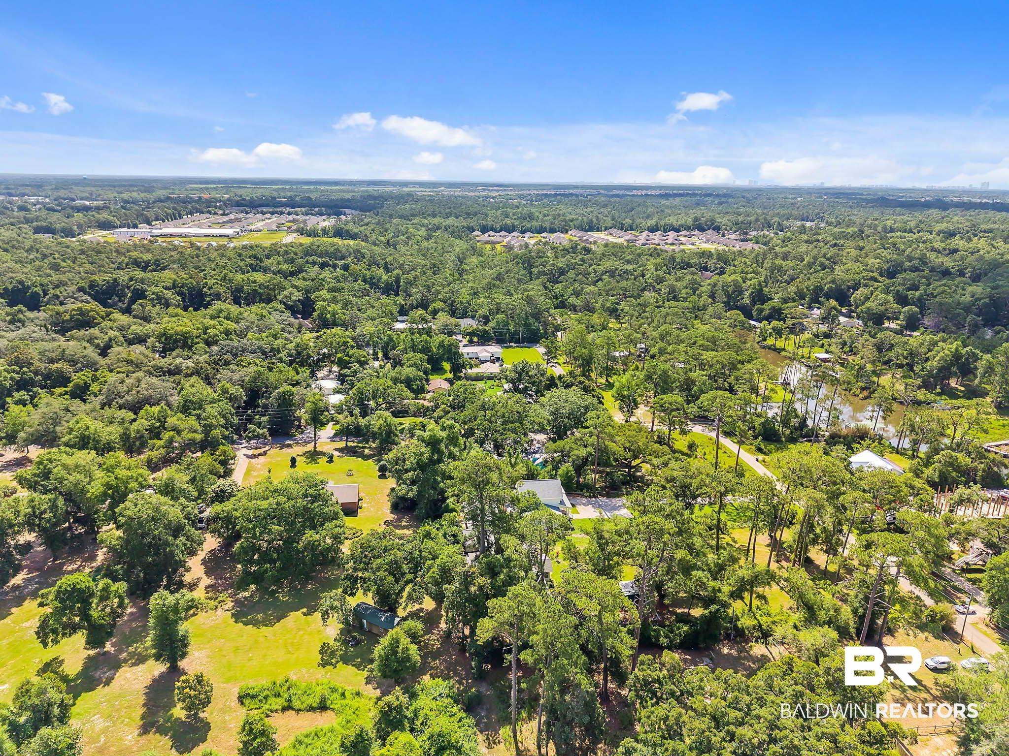 7189 Helton Drive Foley, AL 36535 - Photo 98 of 99 Bird's eye view of a forest