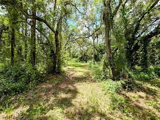 315 Trader Road LaBelle, FL 33935 - Photo 3 of 9 Gallery Image 3