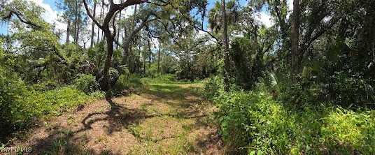 315 Trader Road LaBelle, FL 33935 - Photo 4 of 9 Gallery Image 4