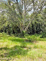 315 Trader Road LaBelle, FL 33935 - Photo 9 of 9 Gallery Image 9