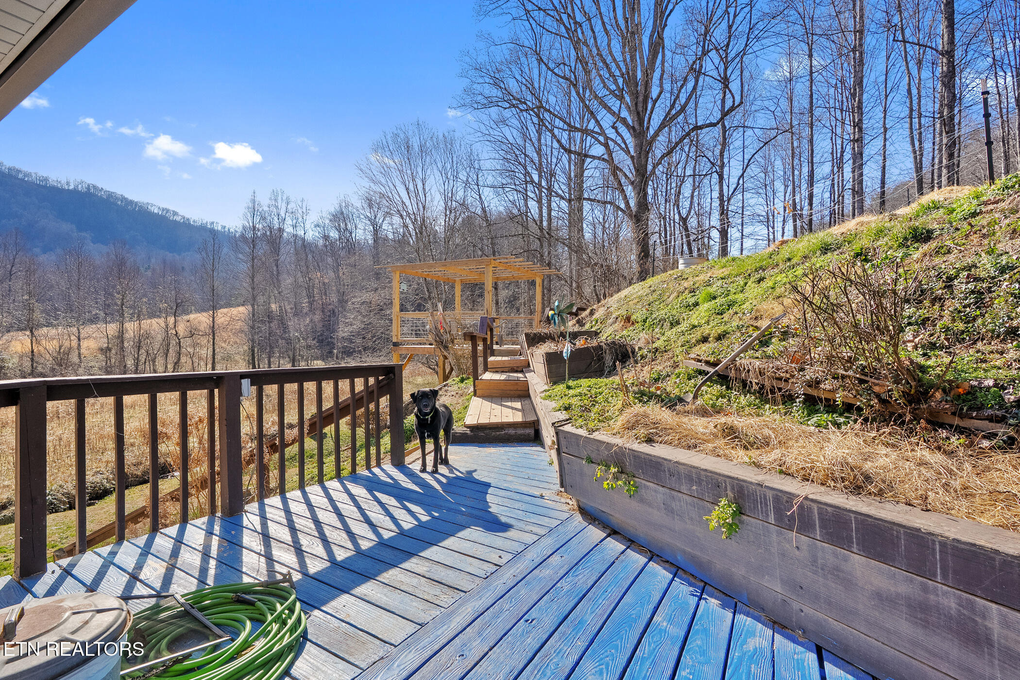 116 Wright Road Rogersville, TN 37857 - Photo 29 of 33 116-23