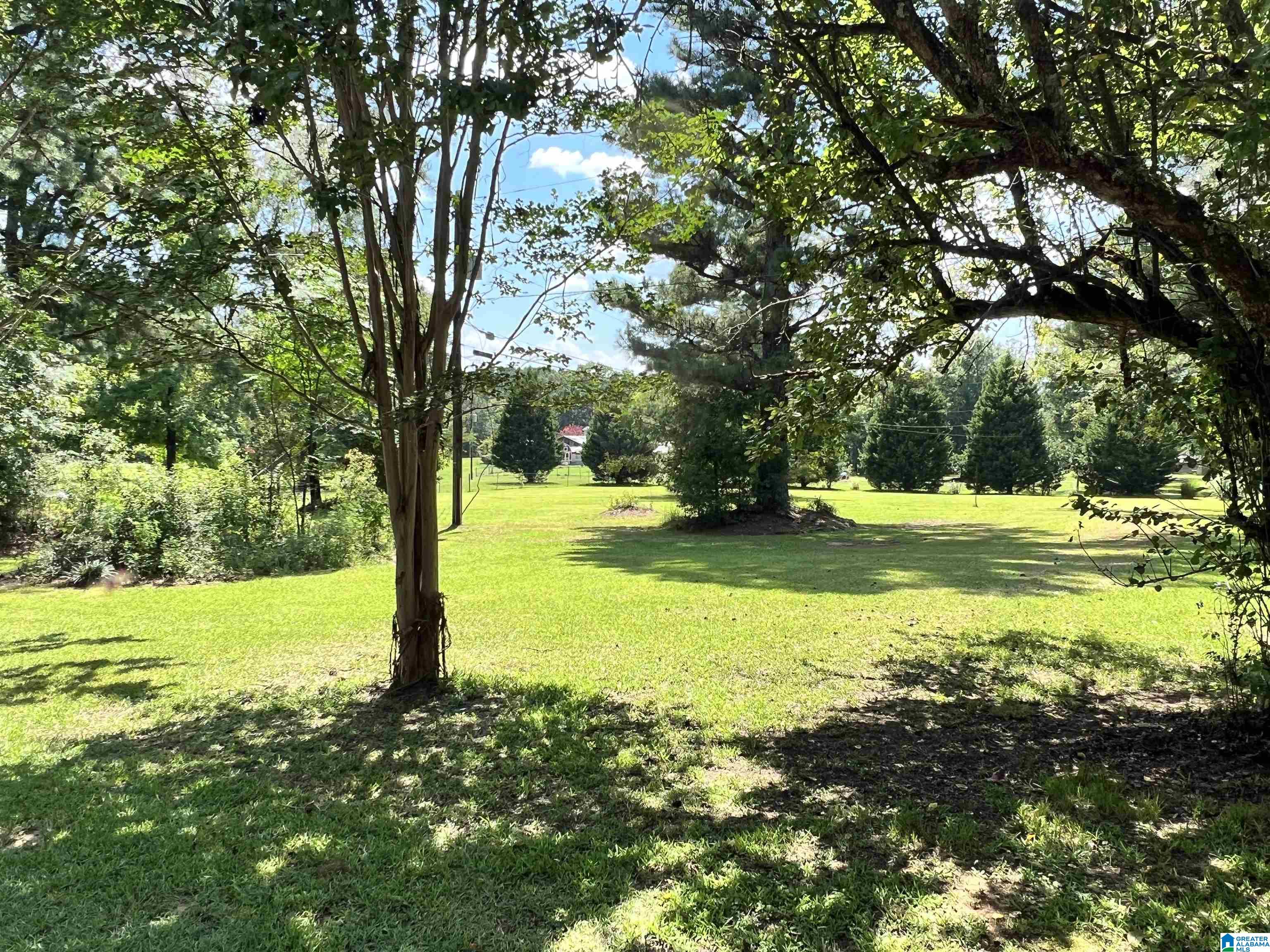 7123 Cumby Greer Road Quinton, AL 35130 - Photo 12 of 40