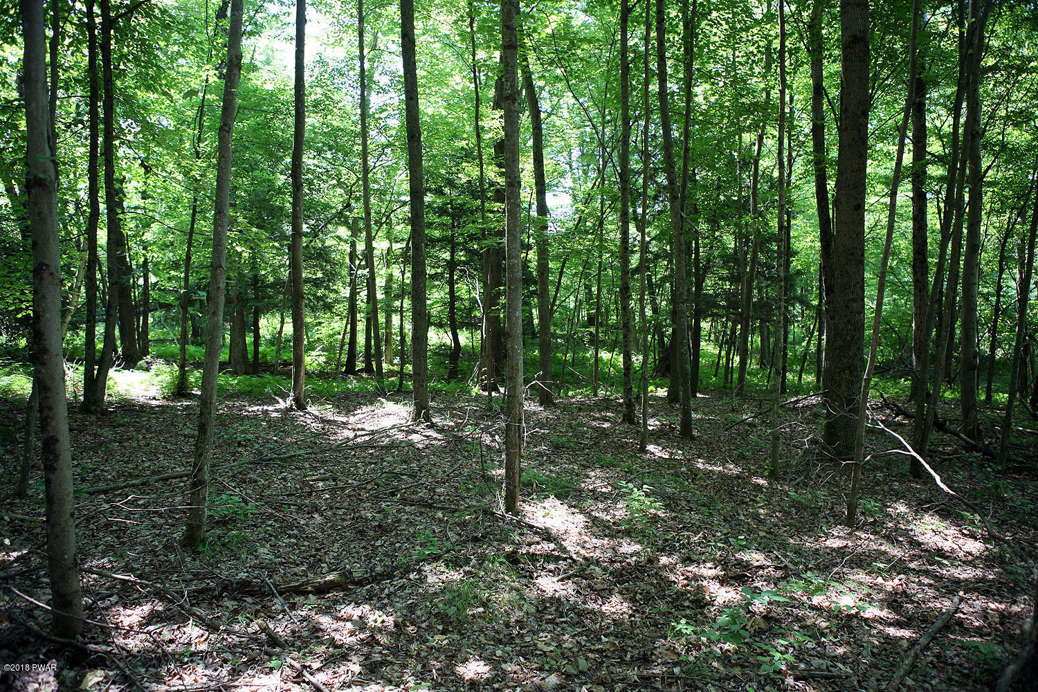 0 Callicoon Road Damascus, PA 18415 - Photo 1 of 20 07 02 18 140